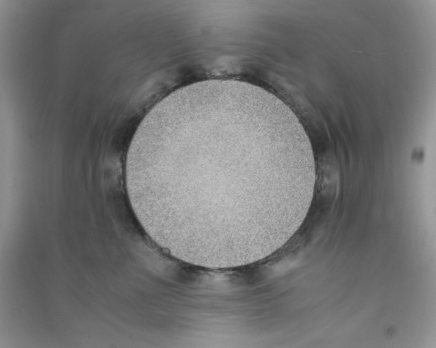 X0000090740523200708172010