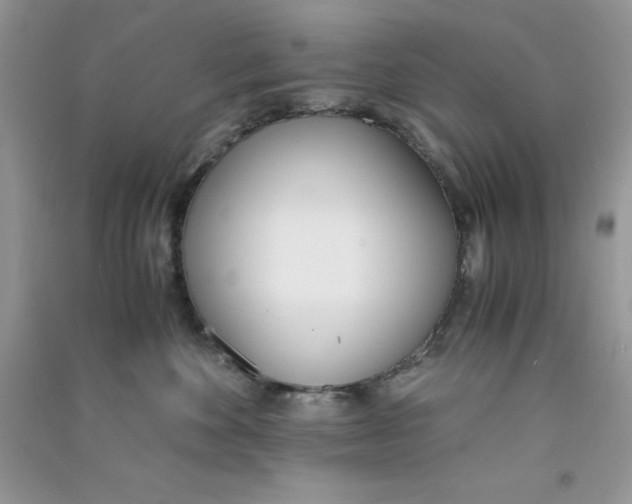 X0000090740524200708172010