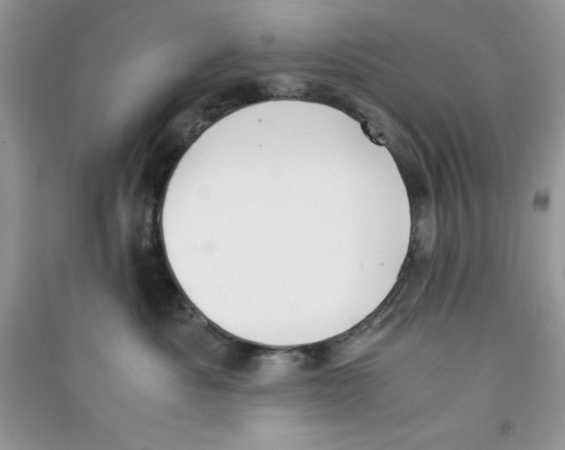 X0000090740525200708172010