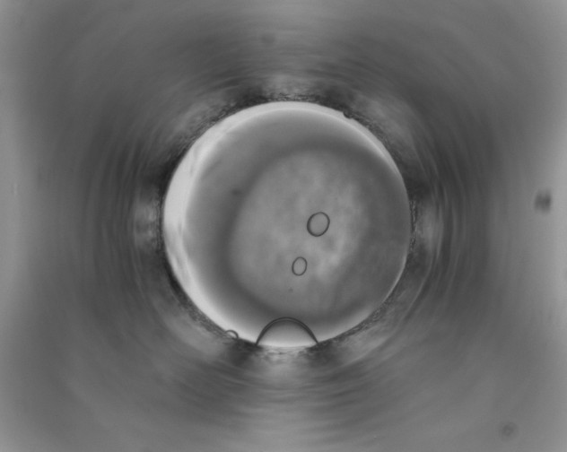 X0000090740526200708172010