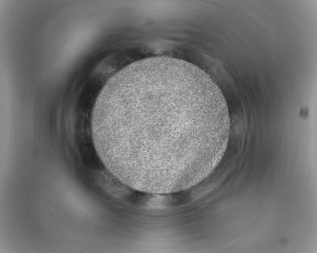 X0000090740527200708172010