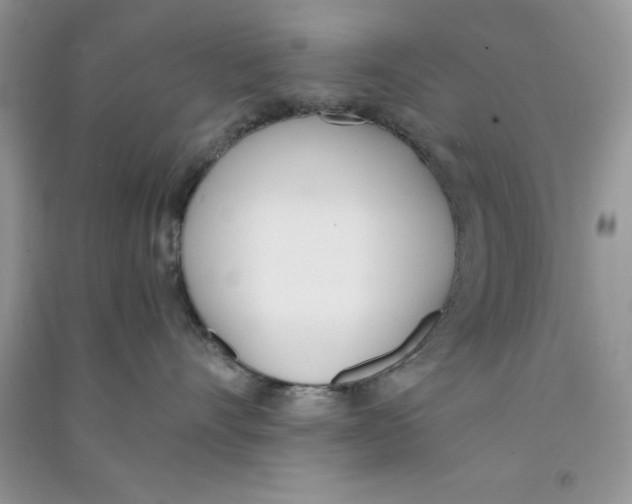 X0000090740528200708172010