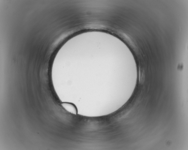 X0000090740531200708172009