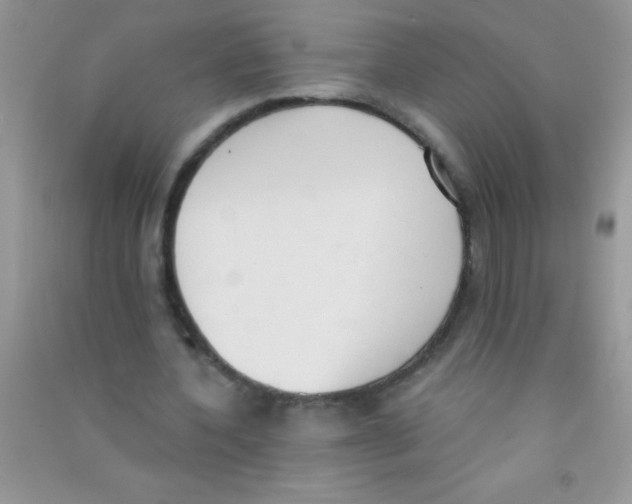 X0000090740532200708172009