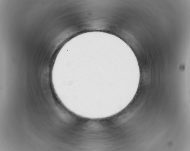 X0000090740534200708172009