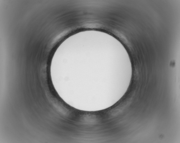 X0000090740535200708172009