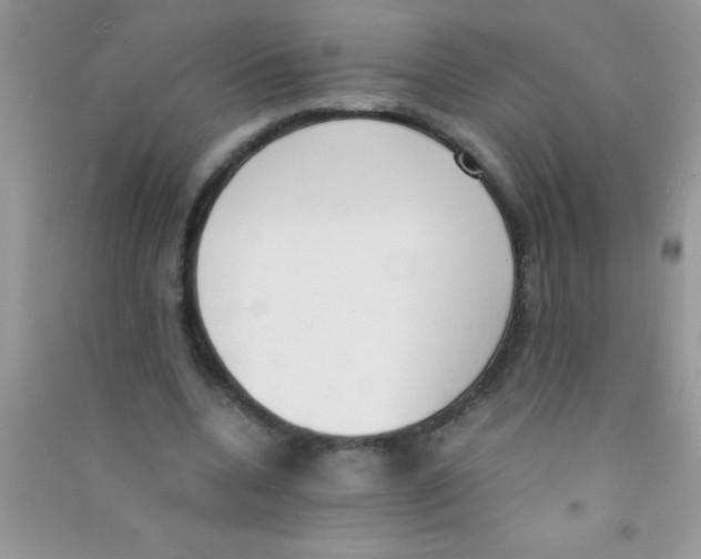 X0000090740536200708172009