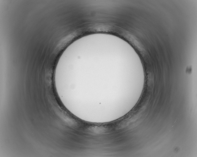 X0000090740537200708172009