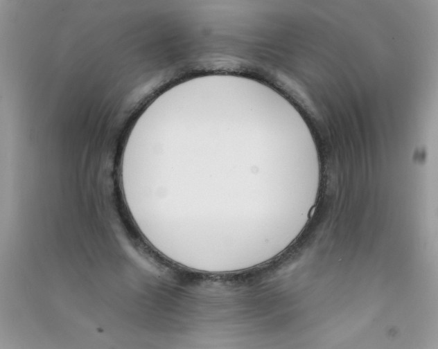 X0000090740538200708172009