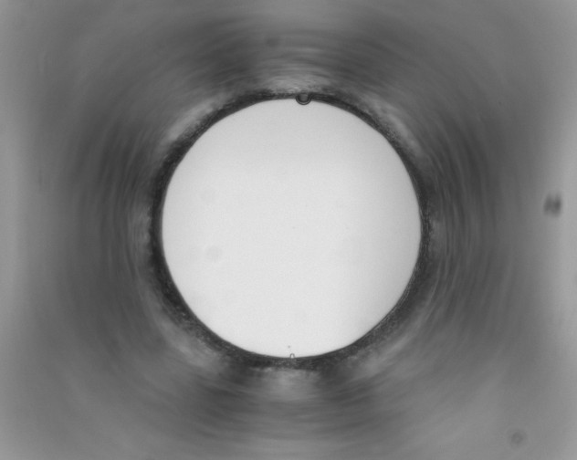 X0000090740539200708172009