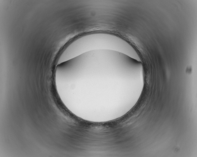 X0000090740540200708172009