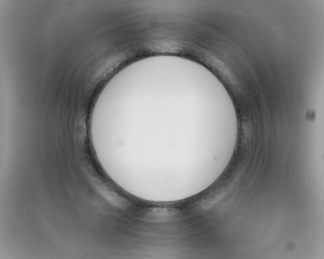 X0000090740541200708172009