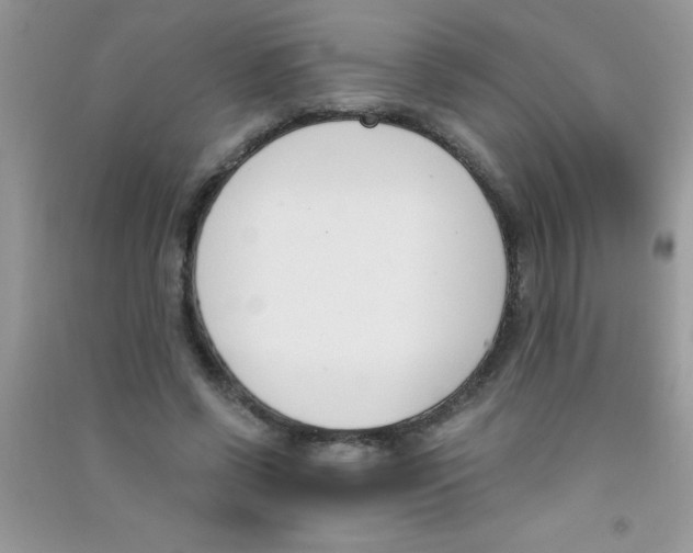 X0000090740542200708172009