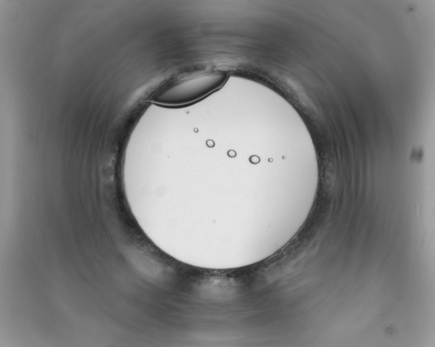 X0000090740543200708172009