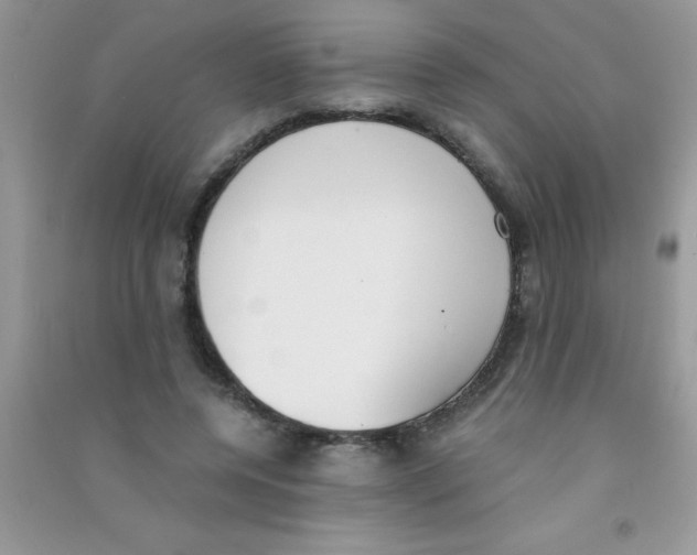 X0000090740544200708172009