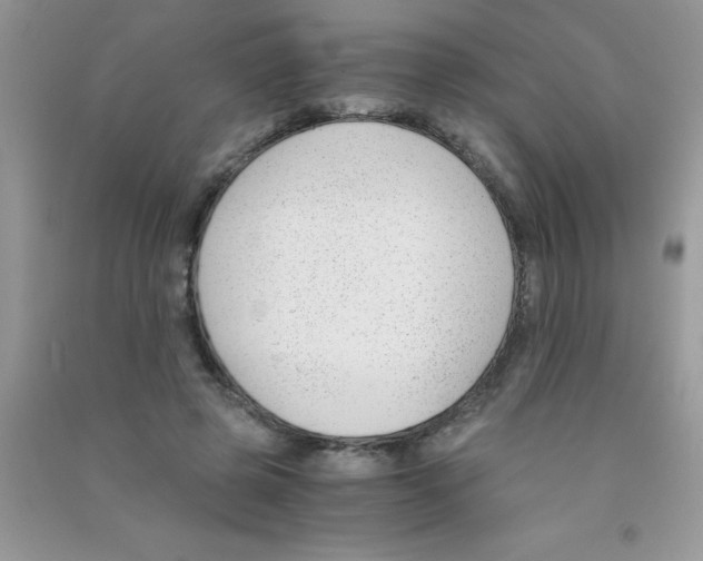 X0000090740545200708172009