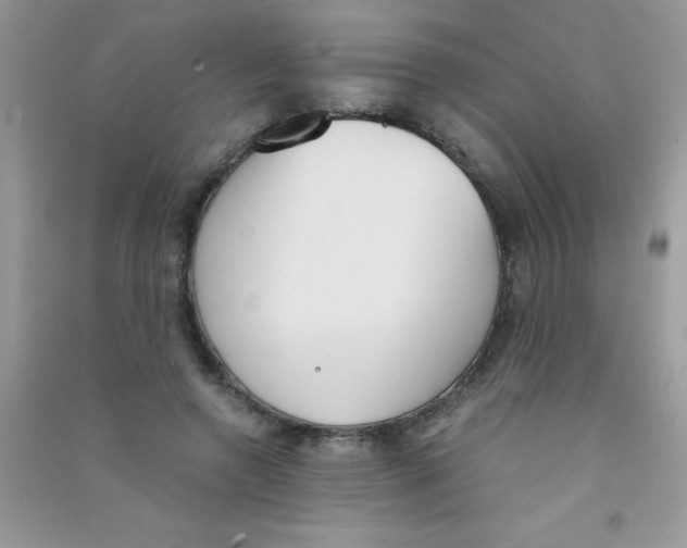 X0000090740546200708172009