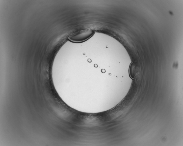 X0000090740547200708172009