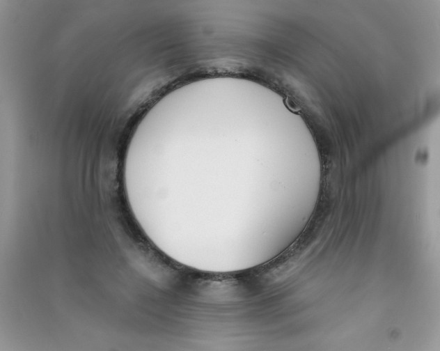 X0000090740548200708172009