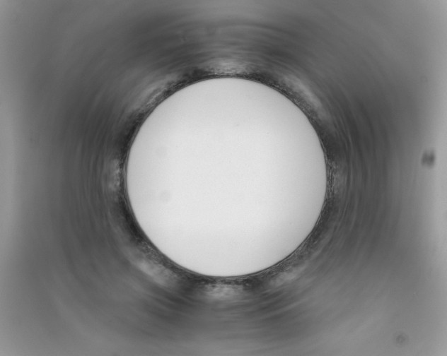 X0000090740549200708172009