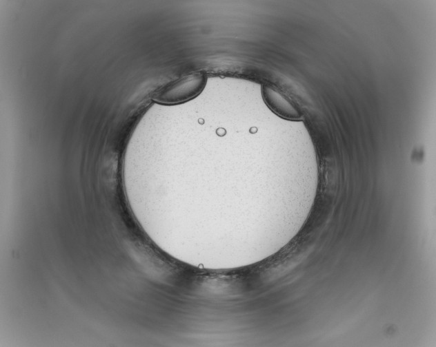 X0000090740550200708172009