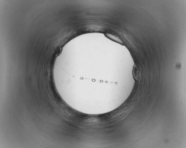 X0000090740551200708172009