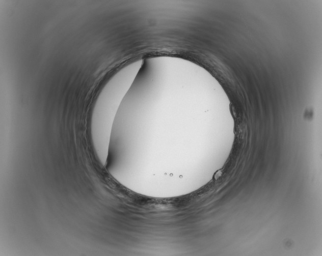 X0000090740552200708172009