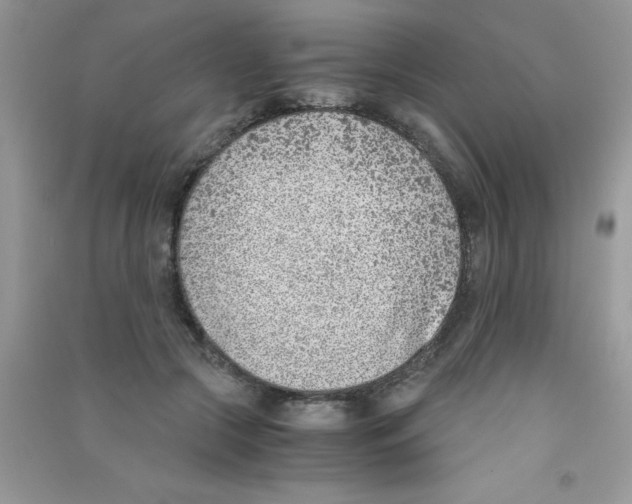 X0000090740553200708172009