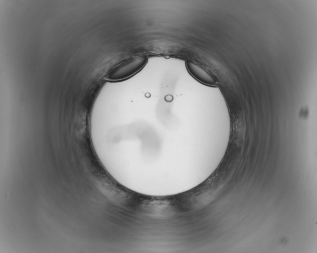 X0000090740554200708172009