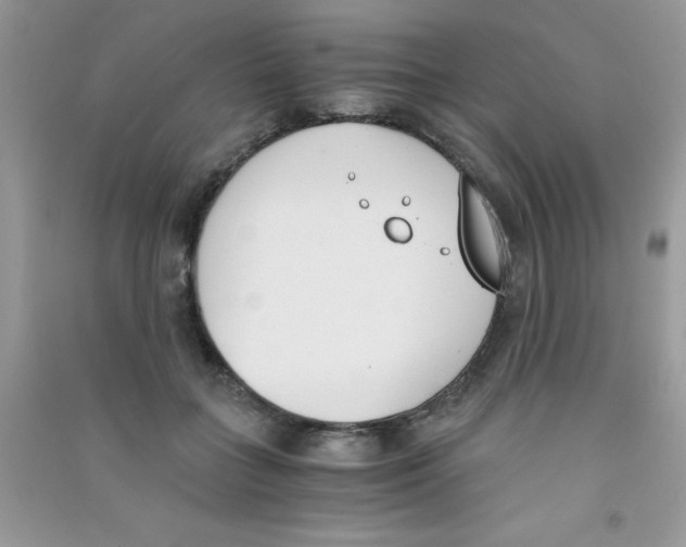 X0000090740555200708172009