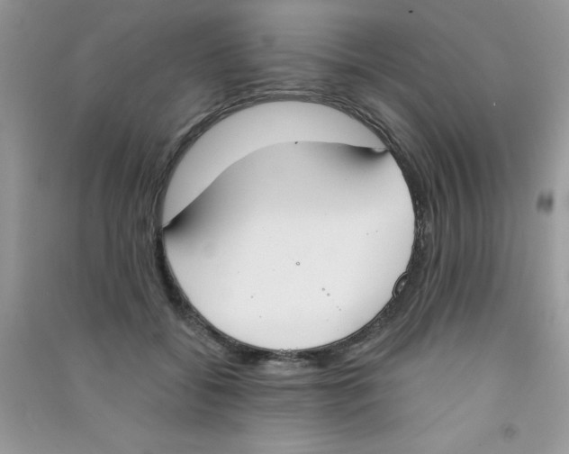 X0000090740556200708172009