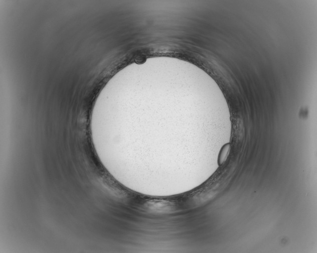 X0000090740557200708172009