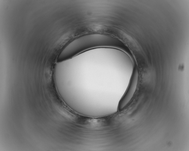 X0000090740558200708172009