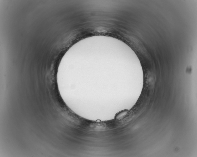 X0000090740559200708172009