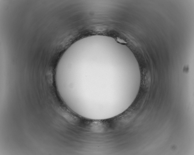 X0000090740562200708172009