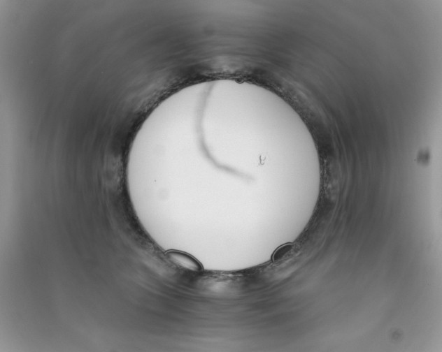 X0000090740563200708172009