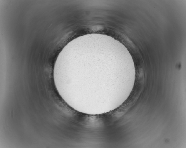 X0000090740565200708172010