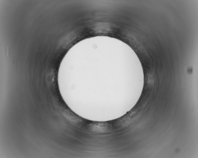 X0000090740567200708172010