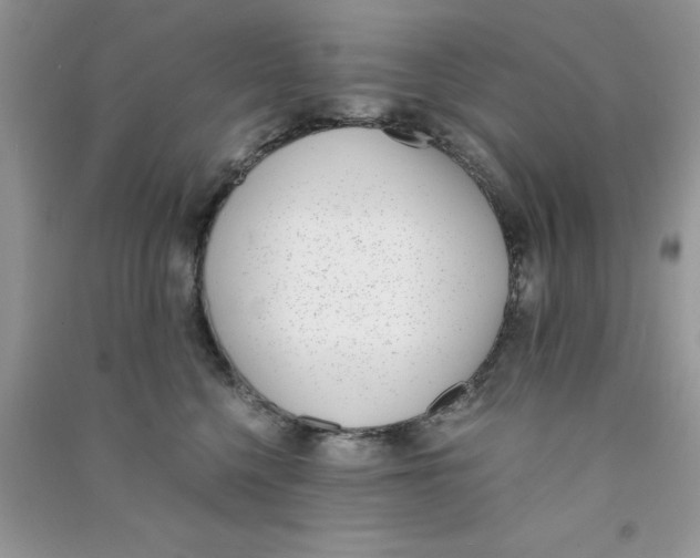 X0000090740568200708172010