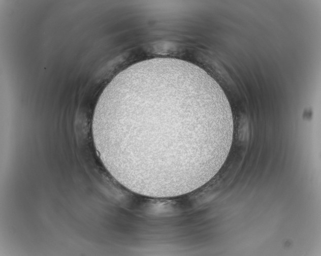 X0000090740569200708172010