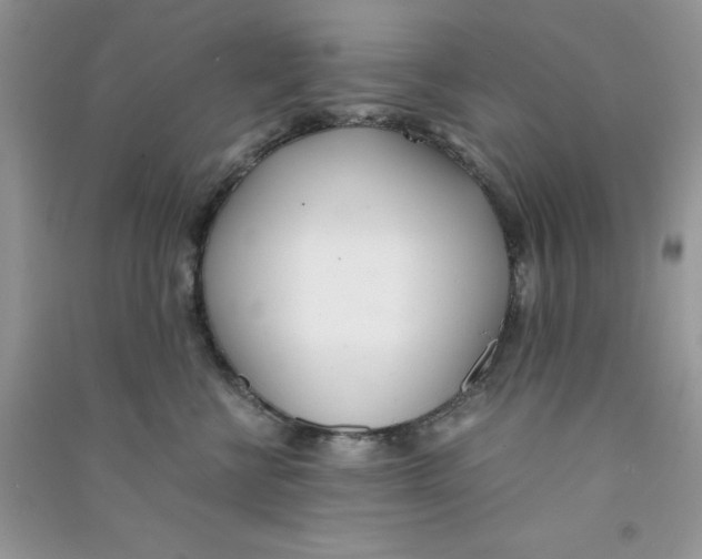 X0000090740570200708172010