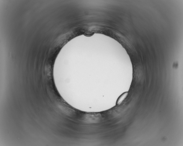 X0000090740571200708172010