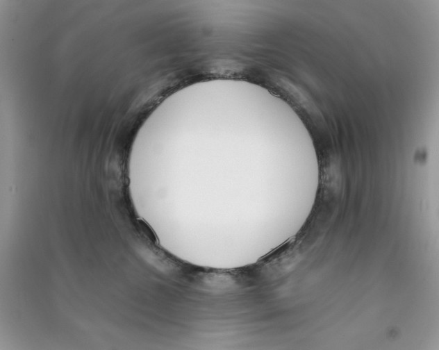 X0000090740572200708172010