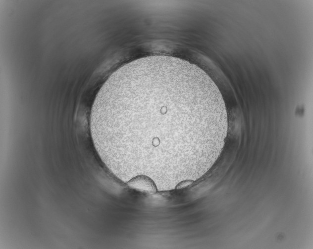 X0000090740573200708172010