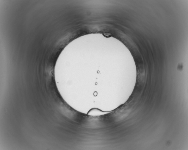 X0000090740574200708172010