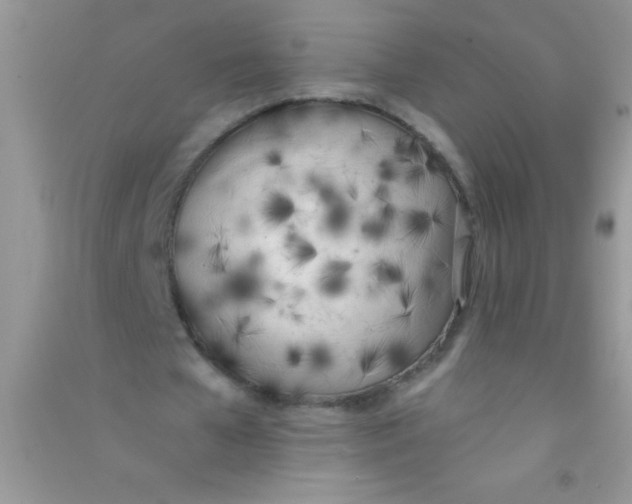 X0000090740577200708172009
