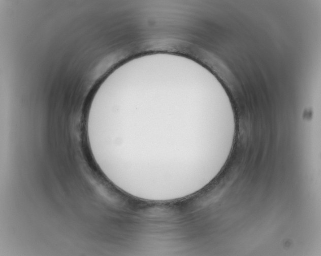 X0000090740578200708172009