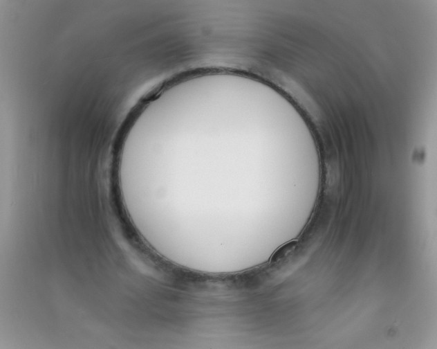 X0000090740580200708172009