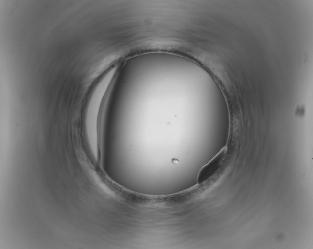 X0000090740581200708172009