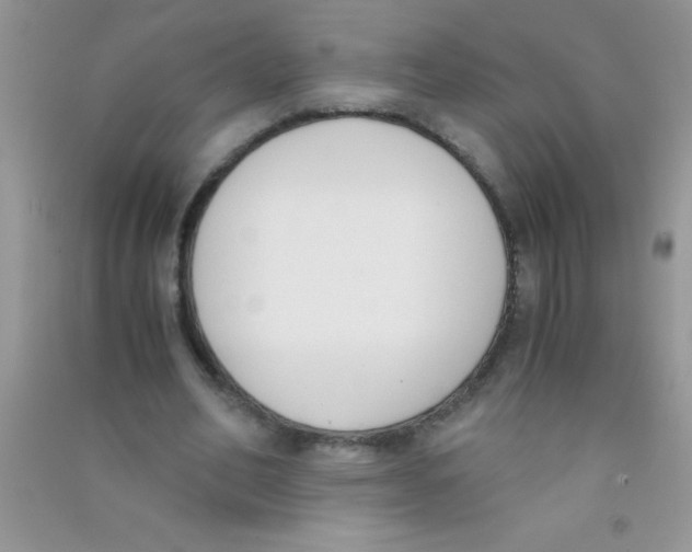 X0000090740582200708172009